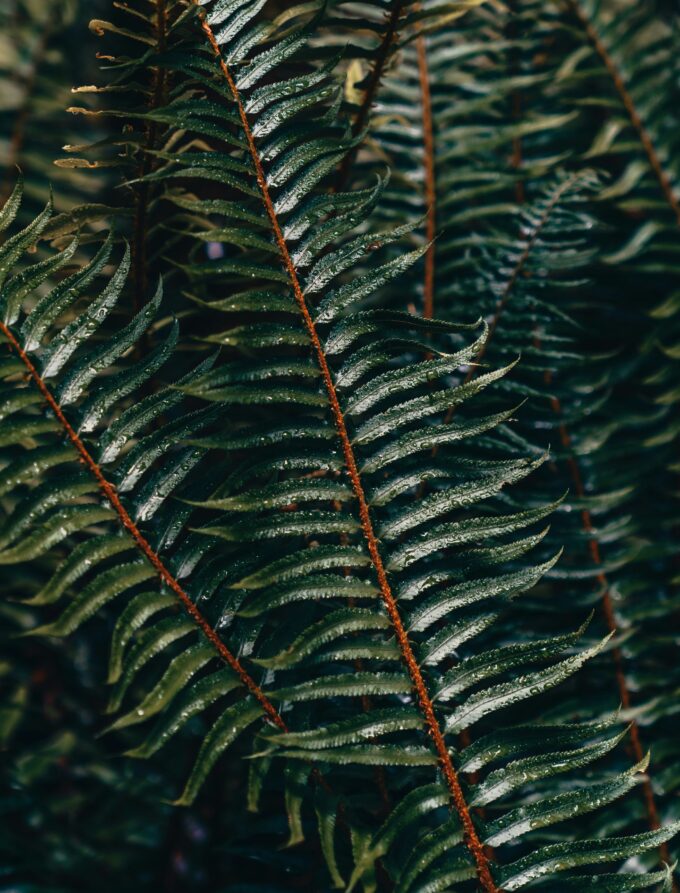 Hidden Rivers