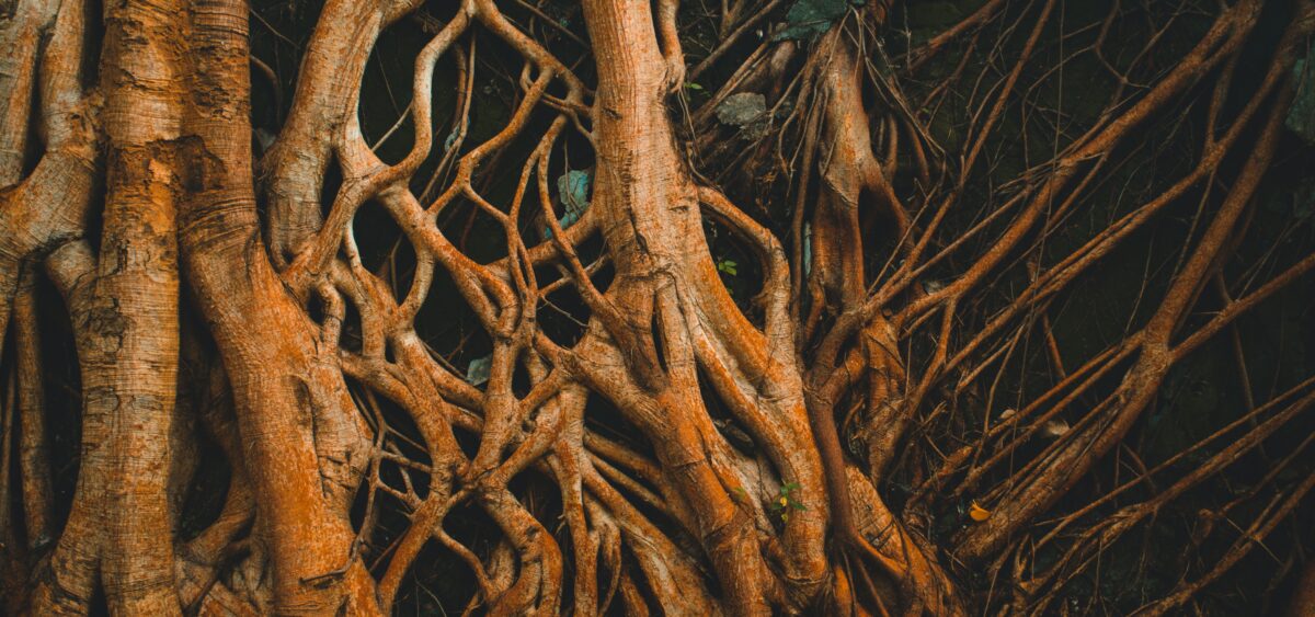 On&nbsp;Interbeing