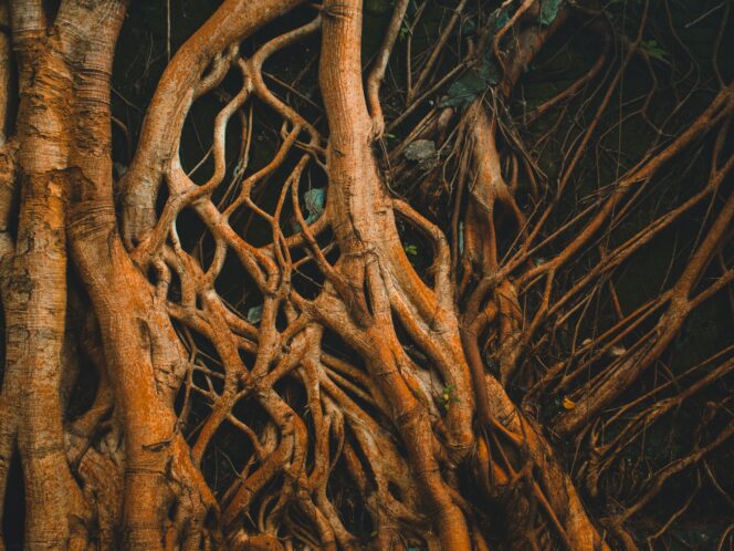On&nbsp;Interbeing
