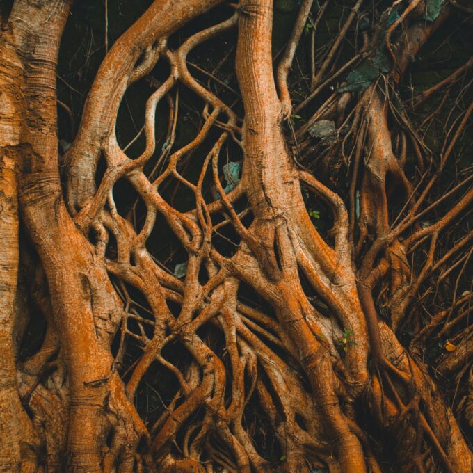 On Interbeing