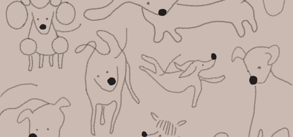 A&nbsp;Dog’s Life