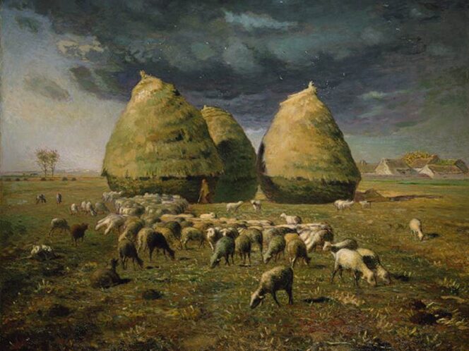 Ziarno wiedzy