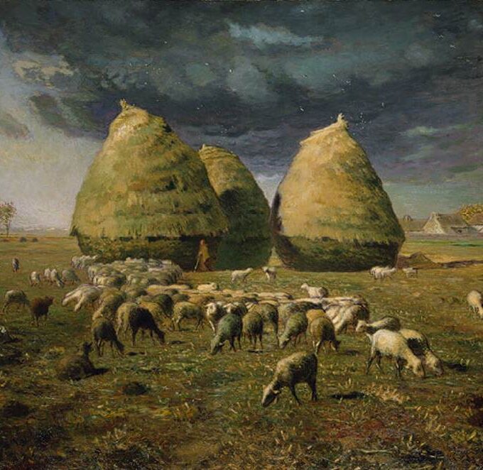 Ziarno wiedzy