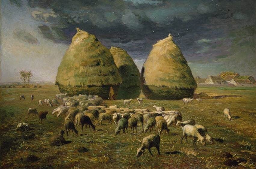 Ziarno wiedzy