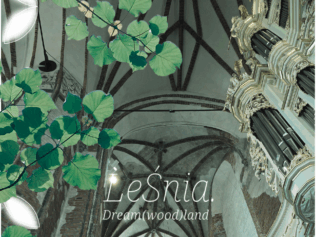 LeŚnia: las w środku miasta