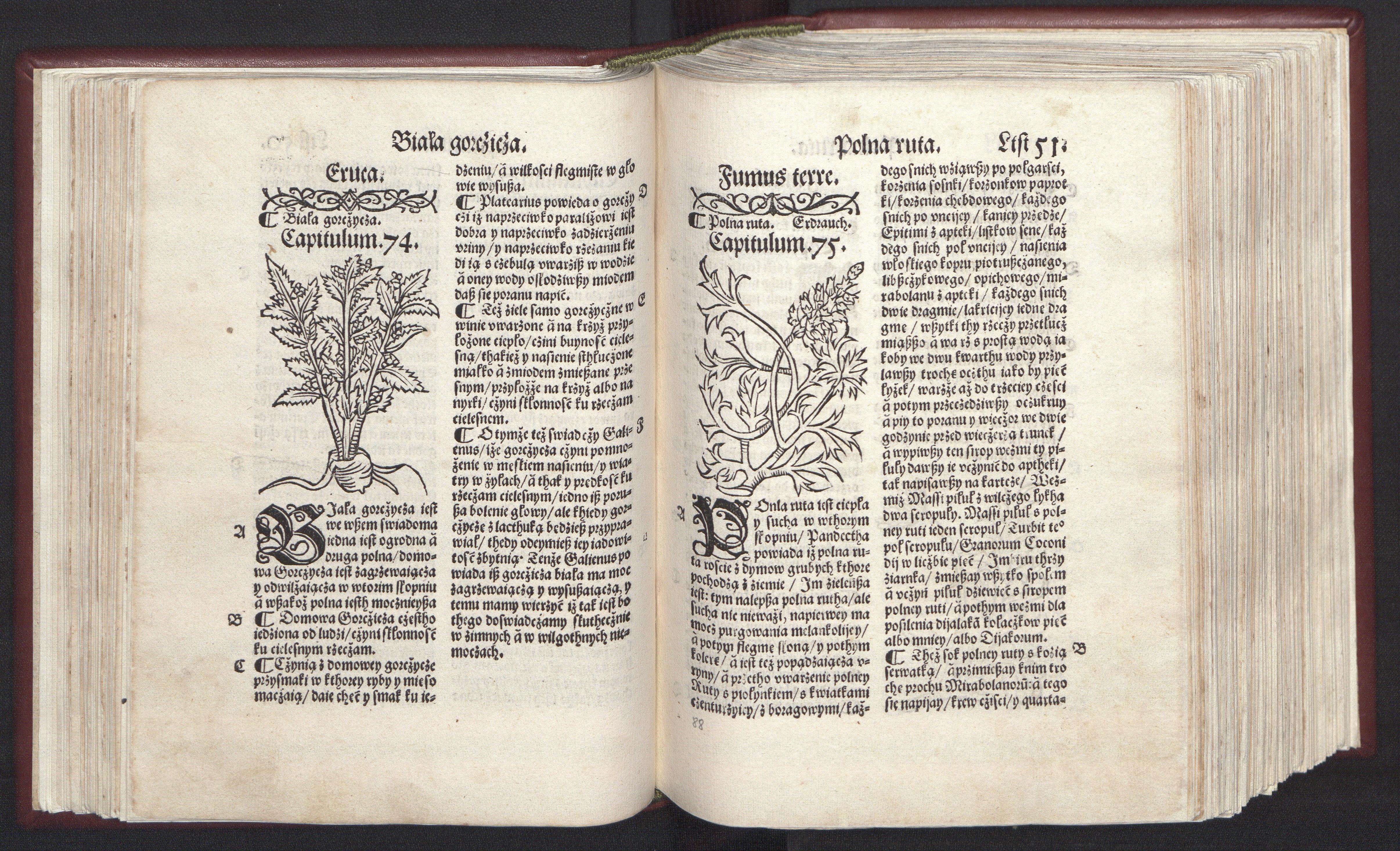 zdjęcie: Stefan Falimirz, „O ziołach i mocy ich...”, 1534 r., domena publiczna via Polona