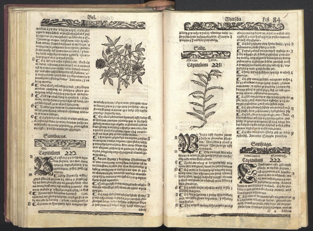 Hieronim Spiczyński, „O ziołach tutecznych...”, Kraków 1556, domena publiczna via Polona.