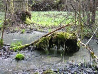 Bagno wciąga!