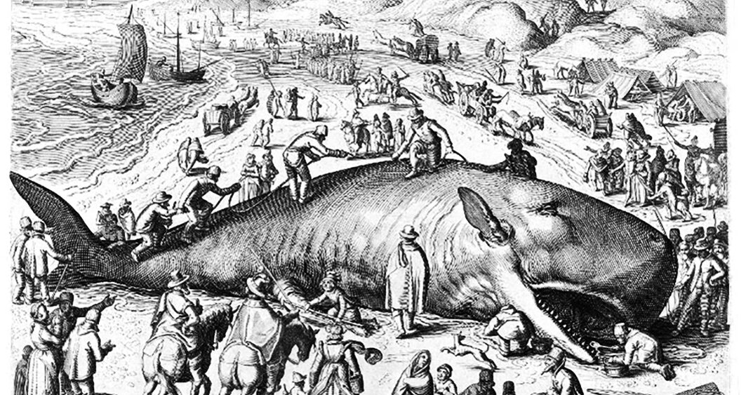 Where to&nbsp;Put the Whale