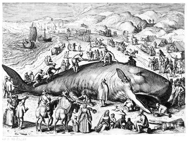 Where to&nbsp;Put the Whale