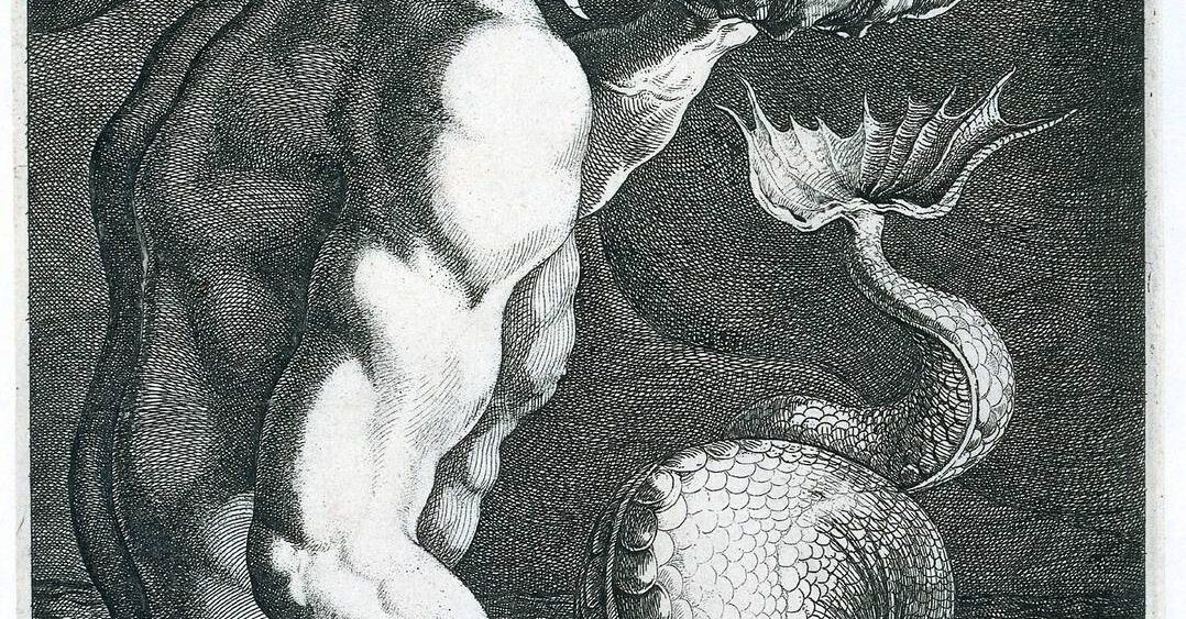Ryba biskup, czyli bałtycki Aquaman