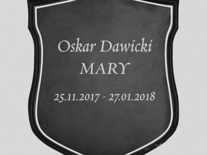 Husarz była kobietą!