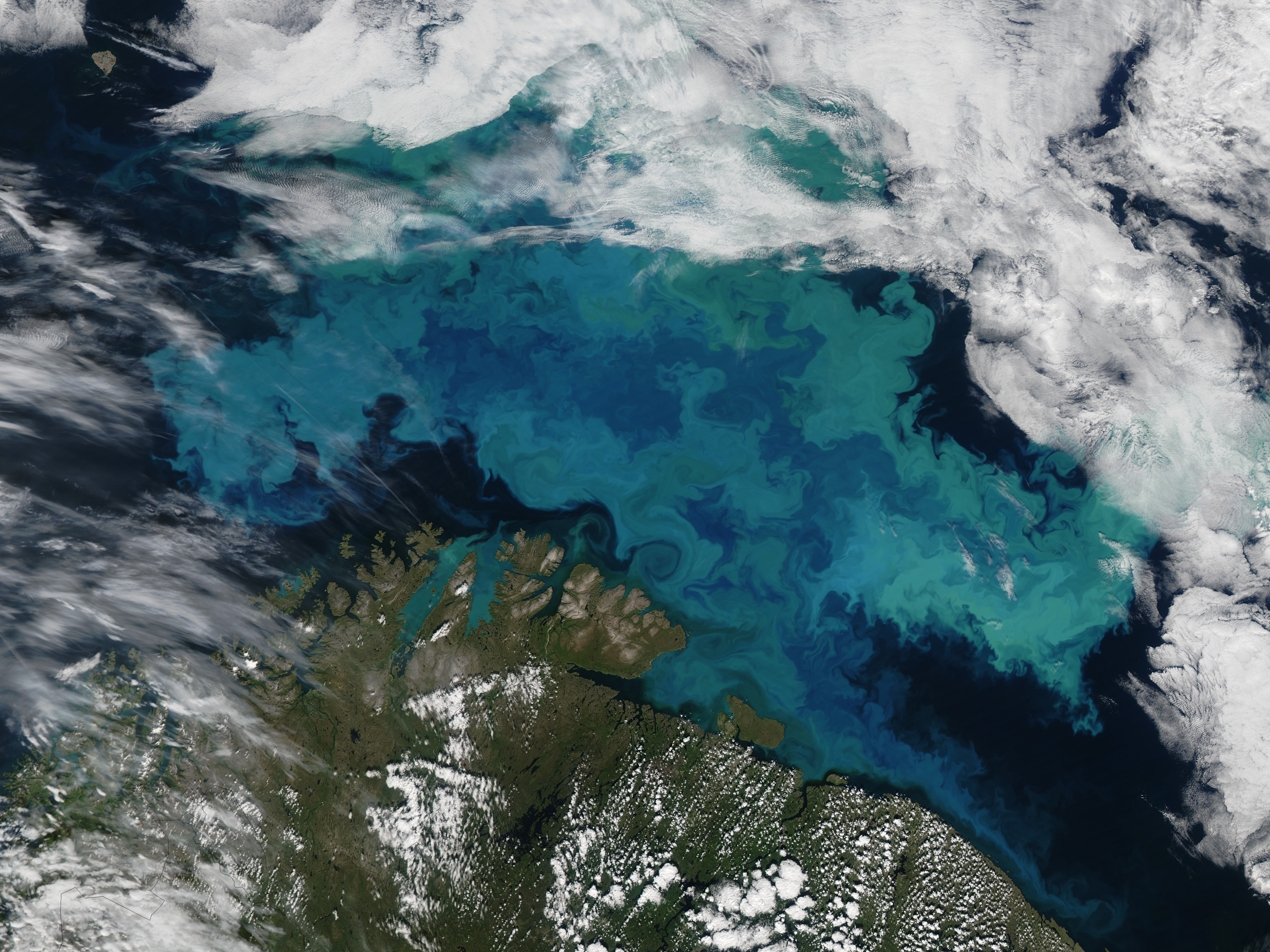 Zimna gorączka na&nbsp;Morzu Barentsa