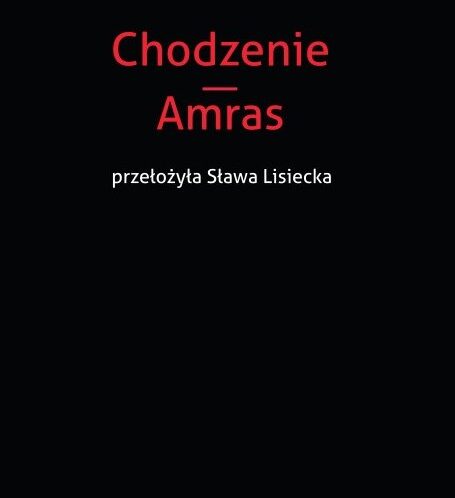 Chodzić, by&nbsp;myśleć