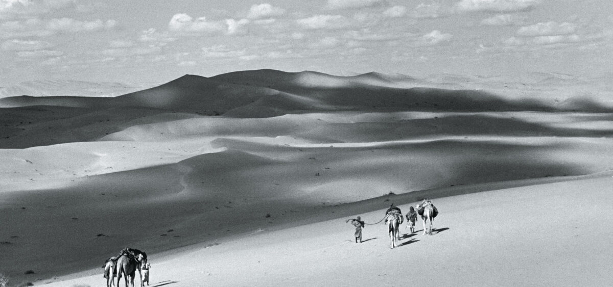 The Aristocracy of&nbsp;Crumbling Sands
