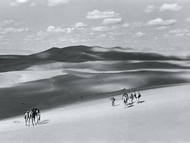 The Aristocracy of&nbsp;Crumbling Sands