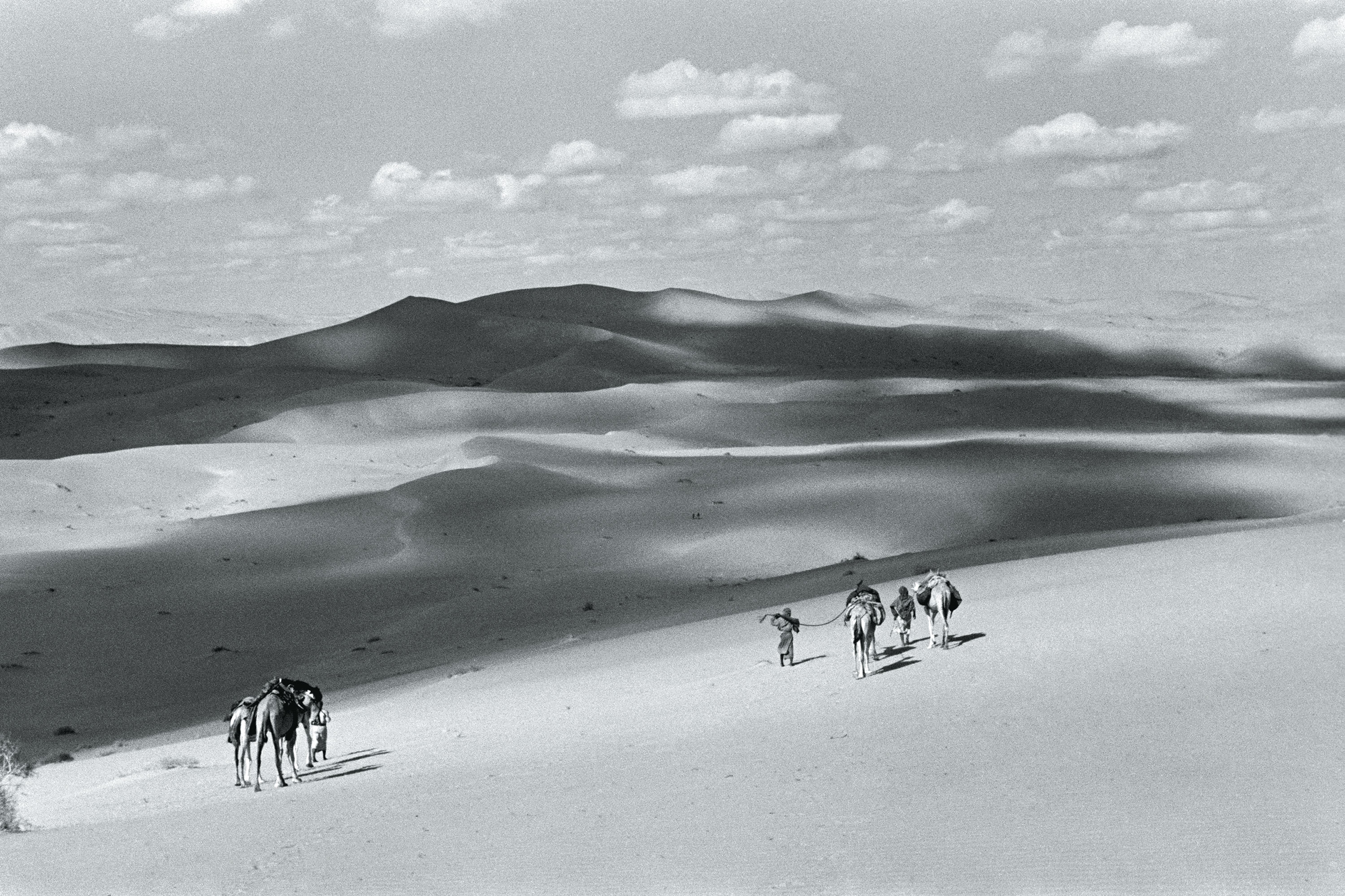 The Aristocracy of Crumbling Sands
