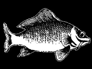 Ghoti in the Machine