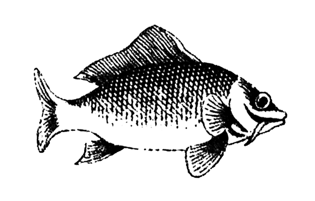 Ghoti in&nbsp;the Machine