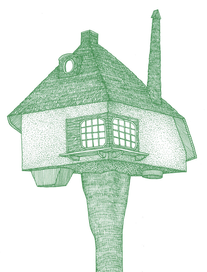 How to Build a Tree House