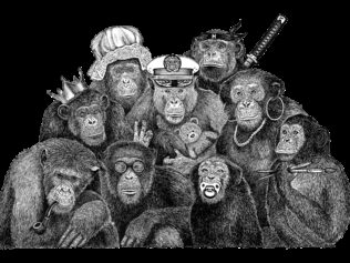 The Rise and Fall of a Chimpanzee Matriarchy