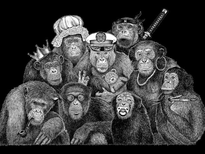 The Rise and Fall of&nbsp;a&nbsp;Chimpanzee Matriarchy
