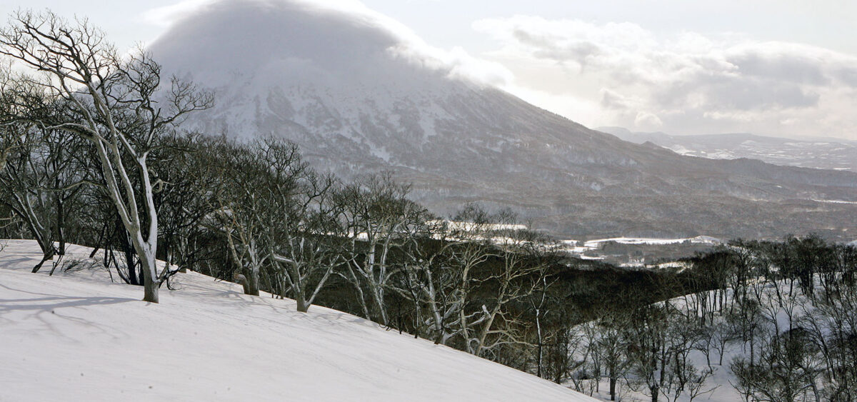 In the Land of the Fluffy Snow