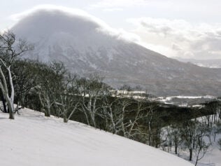 In the Land of the Fluffy Snow