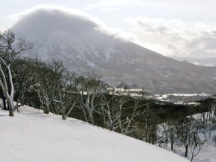 In the Land of the Fluffy Snow
