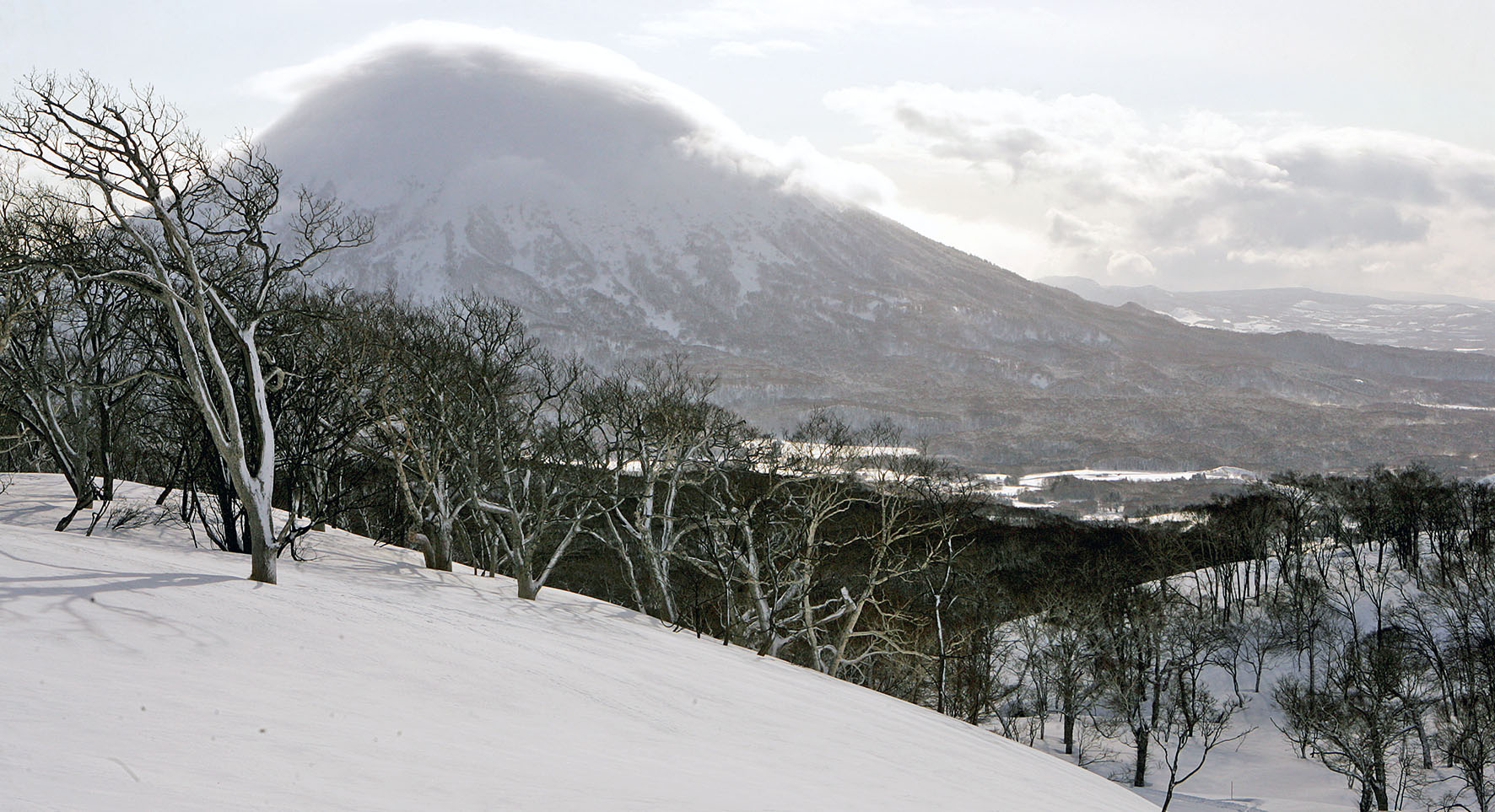 In the Land of the Fluffy Snow