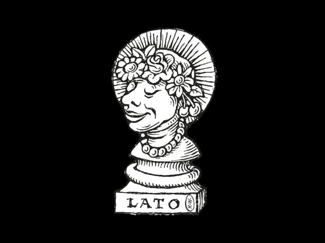 Pytania na lato