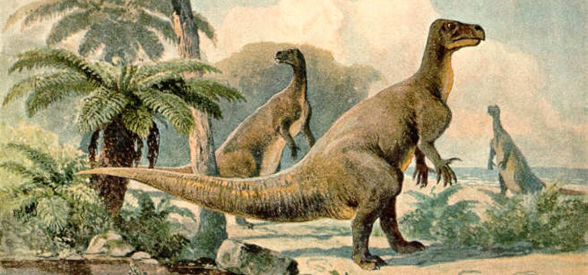 Niefart dinozaurów