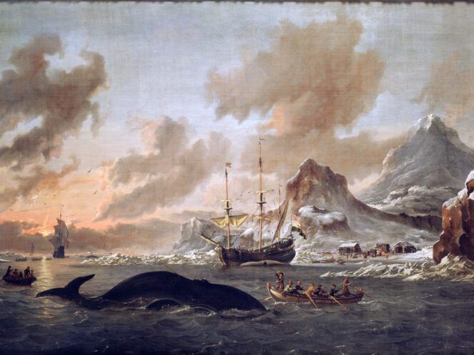 A&nbsp;Flip-Flop on&nbsp;Spitsbergen