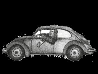 Of Apes and Automobiles