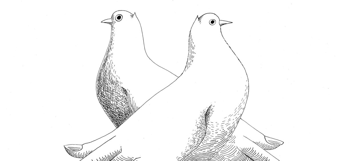 Planet of&nbsp;the Birds