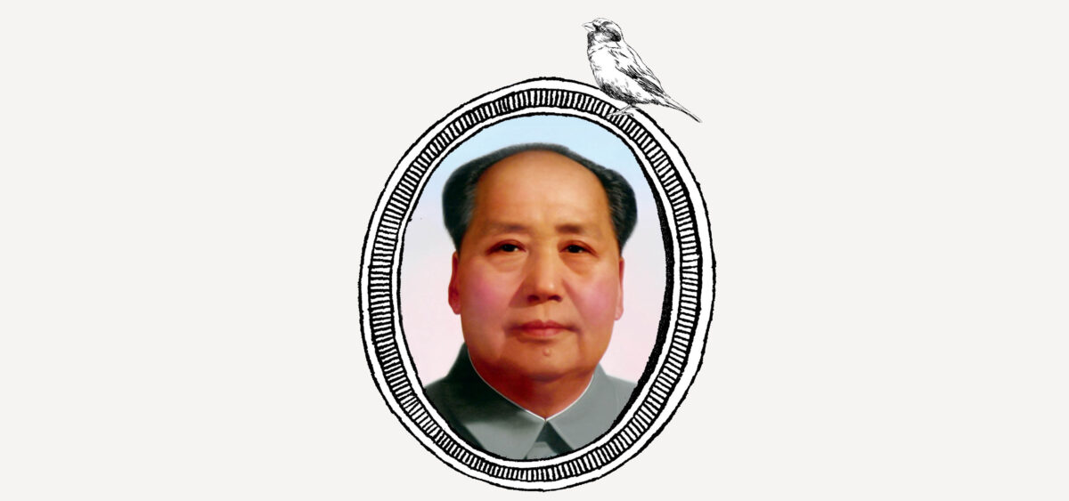 Mao i&nbsp;wróble