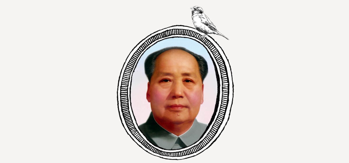 Mao and the Sparrows