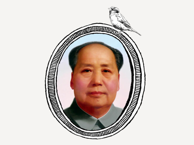 Mao and the Sparrows
