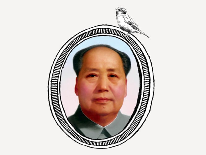 Mao and the Sparrows