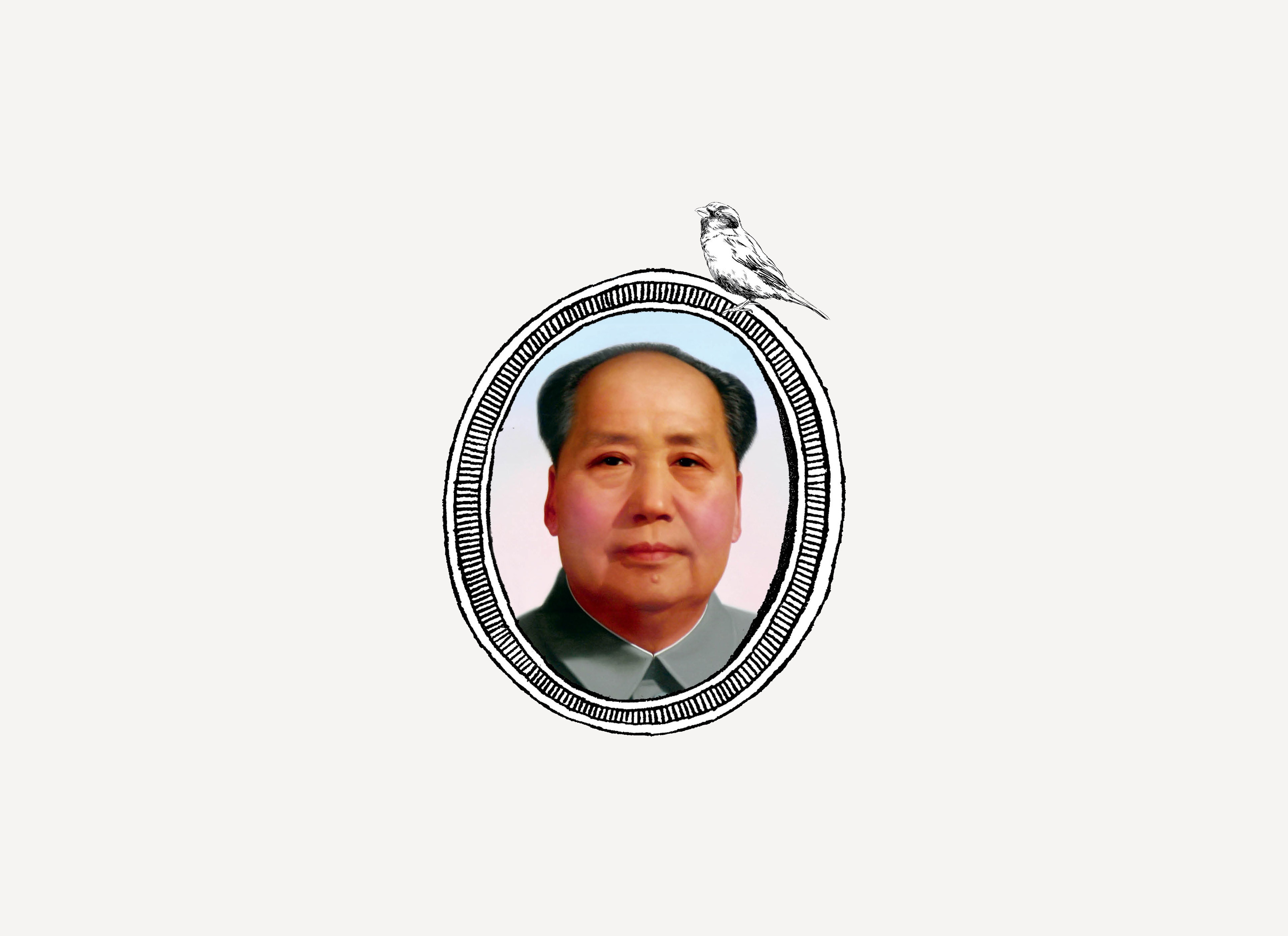 Mao and the Sparrows