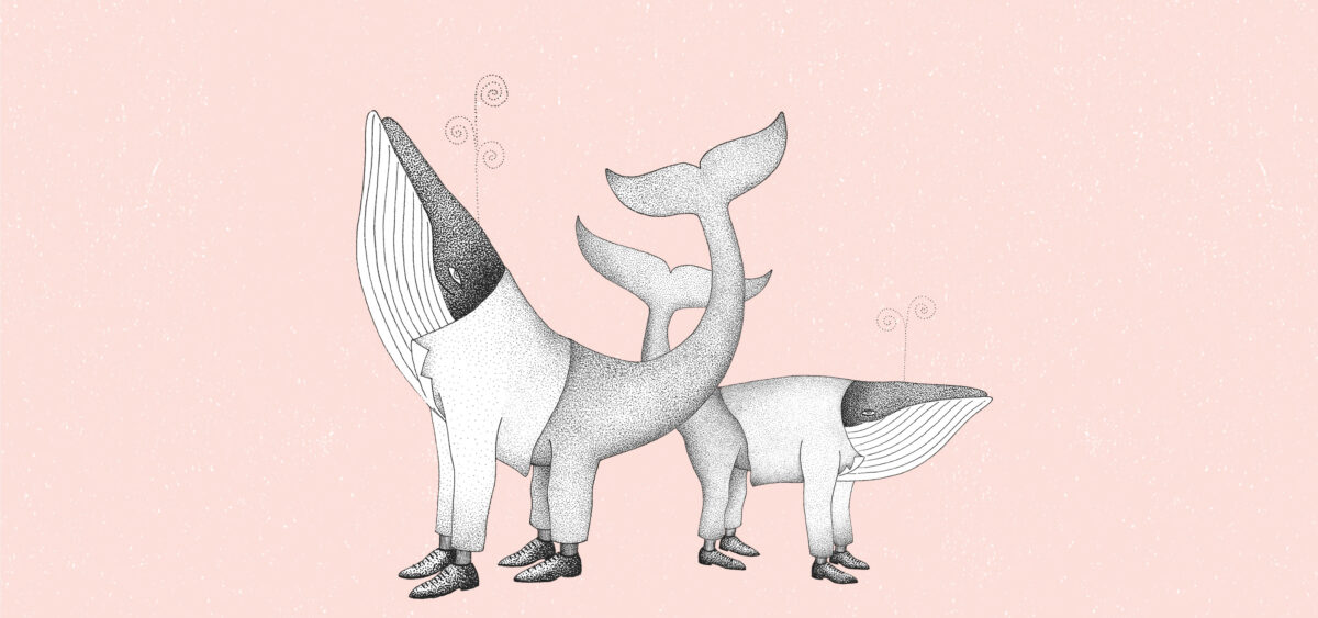 The Cetacean, or&nbsp;There and Back Again