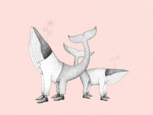 The Cetacean, or There and Back Again