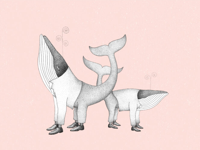 The Cetacean, or&nbsp;There and Back Again