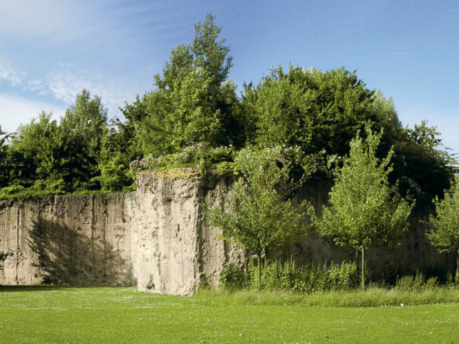 In&nbsp;Hope of a&nbsp;Garden