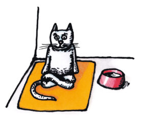 Summer Meditations