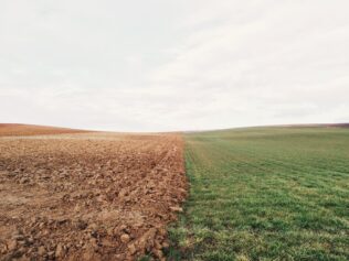 Odizolowani od problemów planety