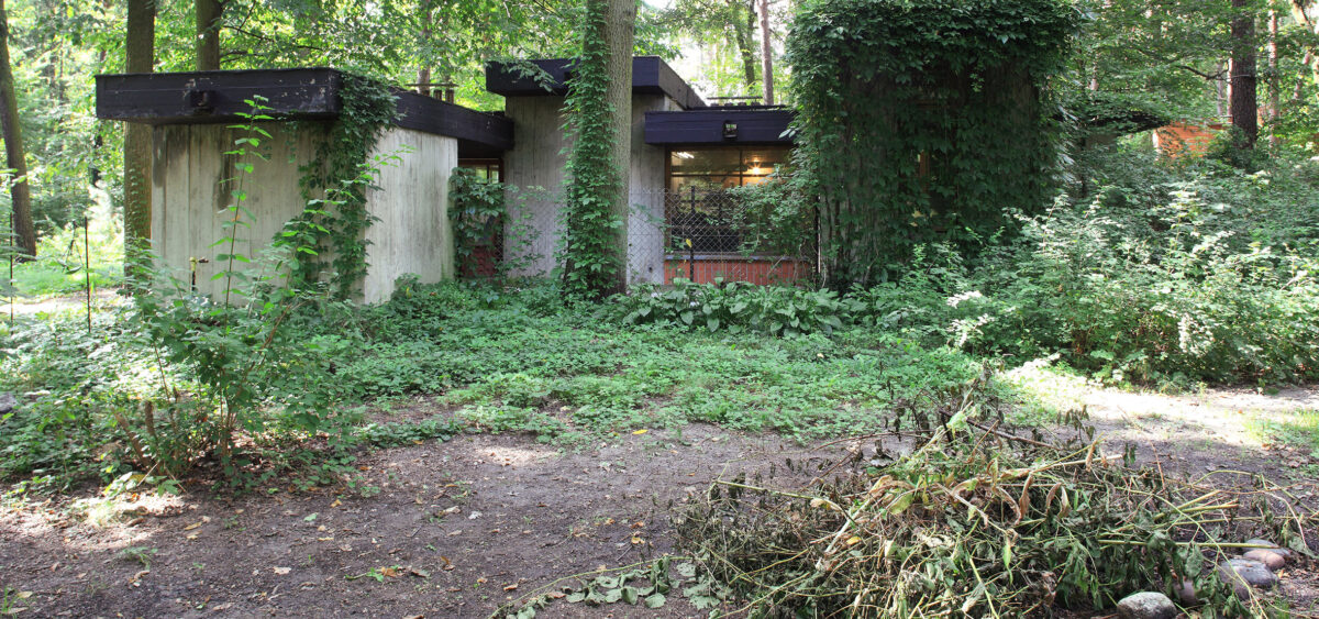 The Avant-Garde in&nbsp;the Forest