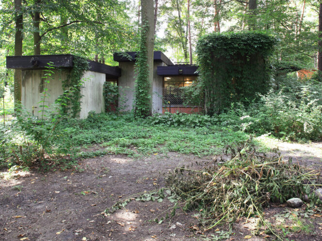 The Avant-Garde in&nbsp;the Forest