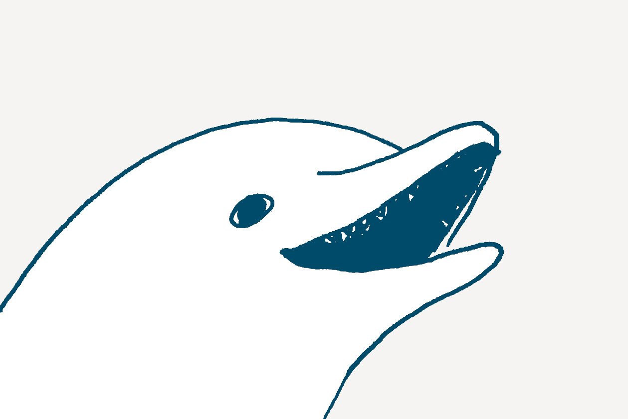 Bohater numeru – Delfin