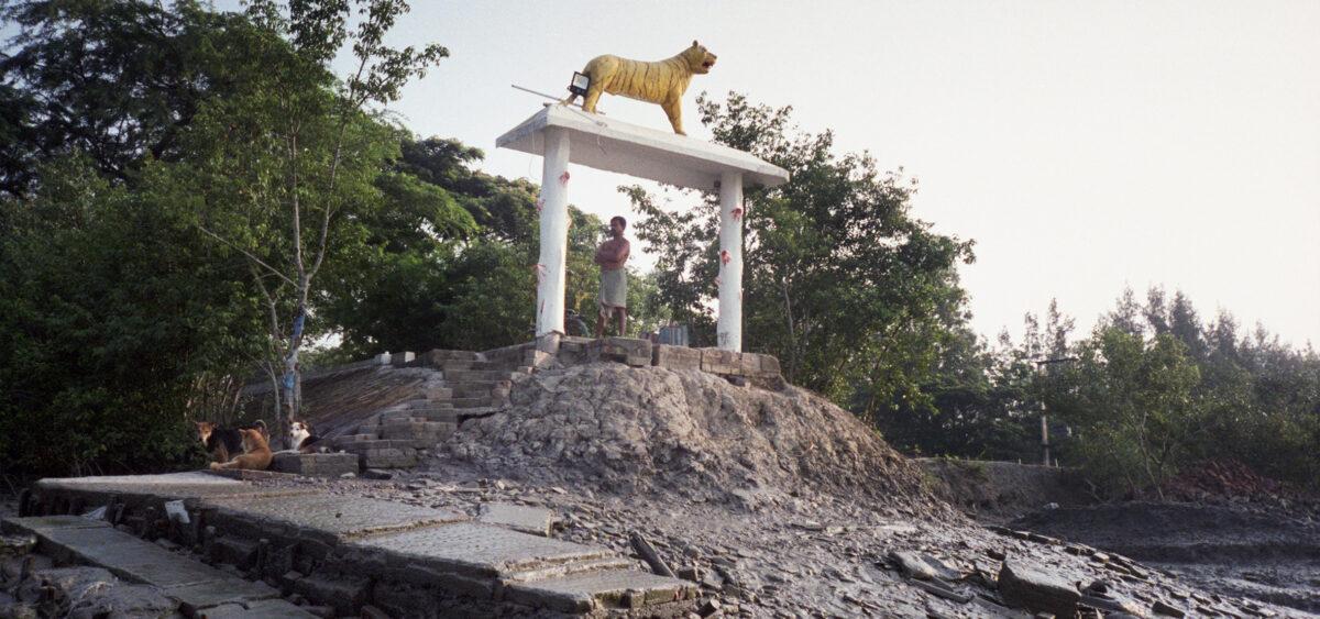 A&nbsp;Tiger Won’t Look You in&nbsp;The Eye